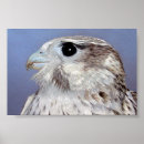 Suche nach prairie poster Tier