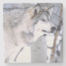 Suche nach canis untersetzer Wolf