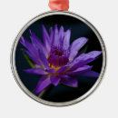 Recherche de nénuphar ornements Eau