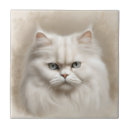 Recherche de persans carreaux Félin