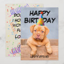 Suche nach geburtstagswünsche vom hund Alles gute zum geburtstag
