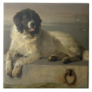 Suche nach menschlich fliesen Schwarz