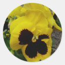 Suche nach panik aufkleber Blume