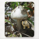 Suche nach pilz mousepads Wälder