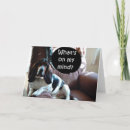 Recherche de différent photographie Inhabituel