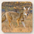 Suche nach canis untersetzer Fell