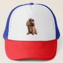 Recherche de cocker casquettes Amoureux des chiens