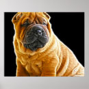 Suche nach chinesischer hund poster Shar pei