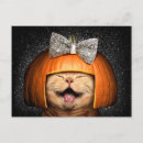 Recherche de humour citrouille invitations Animaux de compagnie