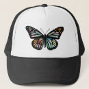 Recherche de insectes casquettes Nature