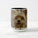 Suche nach yorkshire terrier tassen Welpen