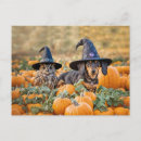 Suche nach halloween dackel postkarten Welpe