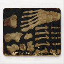 Suche nach fuß mousepads Knochen