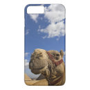 Suche nach kamel iphone hüllen Ägypten