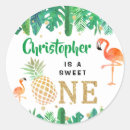 Recherche de anniversaire hawaïen autocollants Aquarelle