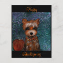 Suche nach yorkie poo postkarten Yorkies