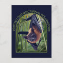 Suche nach fledermaus postkarten Fledermäuse