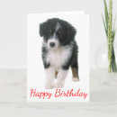 Suche nach australian shepherd karten Wurst