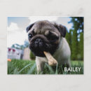 Recherche de instagram cartes postales Family