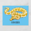 Recherche de serpent python cartes postales Animal