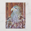 Suche nach seeadler poster Natur