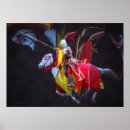 Recherche de joute posters Renaissance