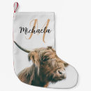 Suche nach kühe weihnachts strümpfe Tier