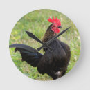 Suche nach livestock wanduhren Rooster