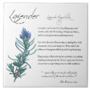 Suche nach lavendel fliesen Kräuter