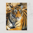 Recherche de espèce menacée cartes postales En danger