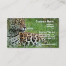 Recherche de jaguar cartes visite Léopard