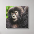 Suche nach animals leinwandbilder Animals in the wild