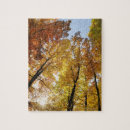 Suche nach wachstum puzzle Wald