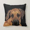 Suche nach doggen kissen Great dane