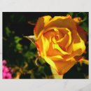 Suche nach dekoration flyer Elegant