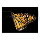 Suche nach monarchfalter postkarten Tier