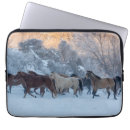 Suche nach horses laptop schutzhüllen Bauernhof