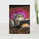 Suche nach perücke karten Katze