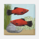 Suche nach aquarium magnete Wasser