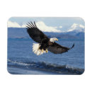 Recherche de têtes magnets Profil
