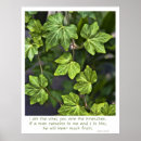 Suche nach reben poster Weinberg