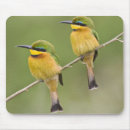 Suche nach ralph mousepads Vogel