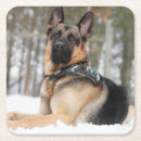 Suche nach niedliche welpen untersetzer Schnee