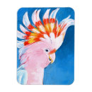 Recherche de oiseau exotique magnets Oiseaux tropicaux