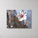 Suche nach hübsche blumen leinwandbilder Elegant