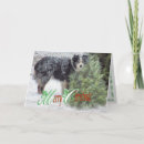 Suche nach hundchen liebe karten Haustiere
