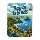 Recherche de baies magnets Vintage