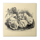 Recherche de légumes carreaux Vintage