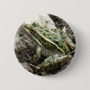 Suche nach amphibie buttons Natur