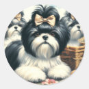 Suche nach shih tzu aufkleber Niedliche hunde